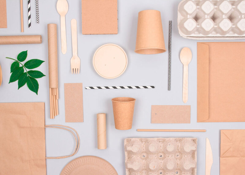 Eco-friendly tableware, paper food packaging