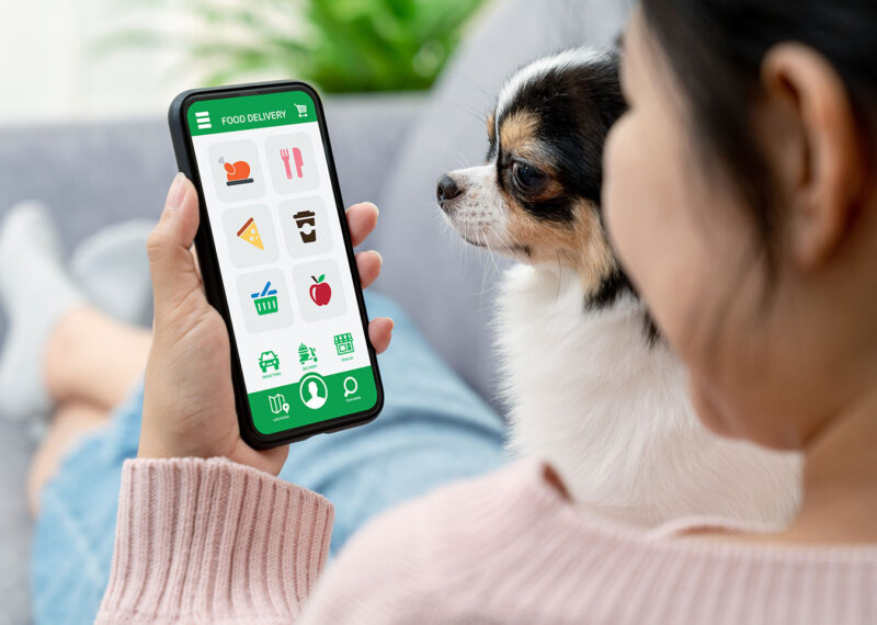 Back rear view of young woman sitting on sofa couch with dog hand holding smart phone at home. Food or convenience store order service.