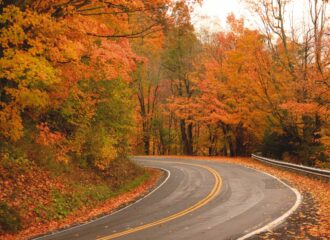 Curving road through fall autumn changing leaves
