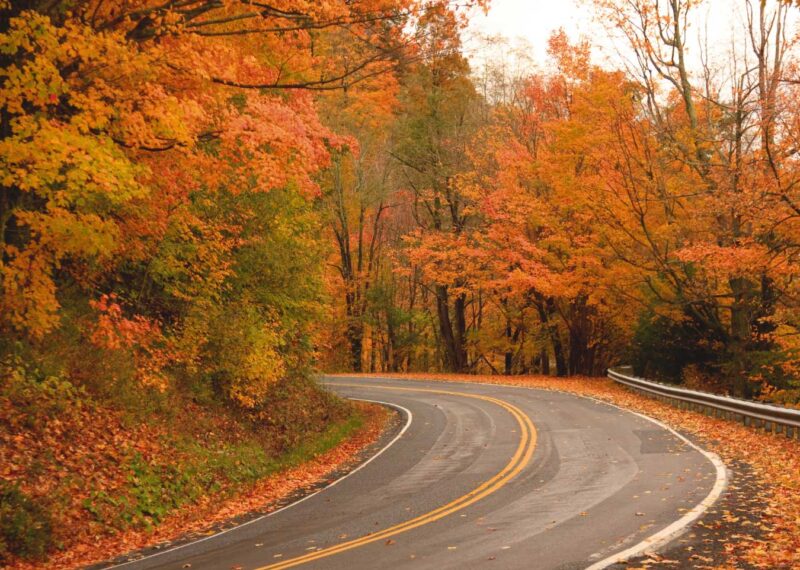 Curving road through fall autumn changing leaves